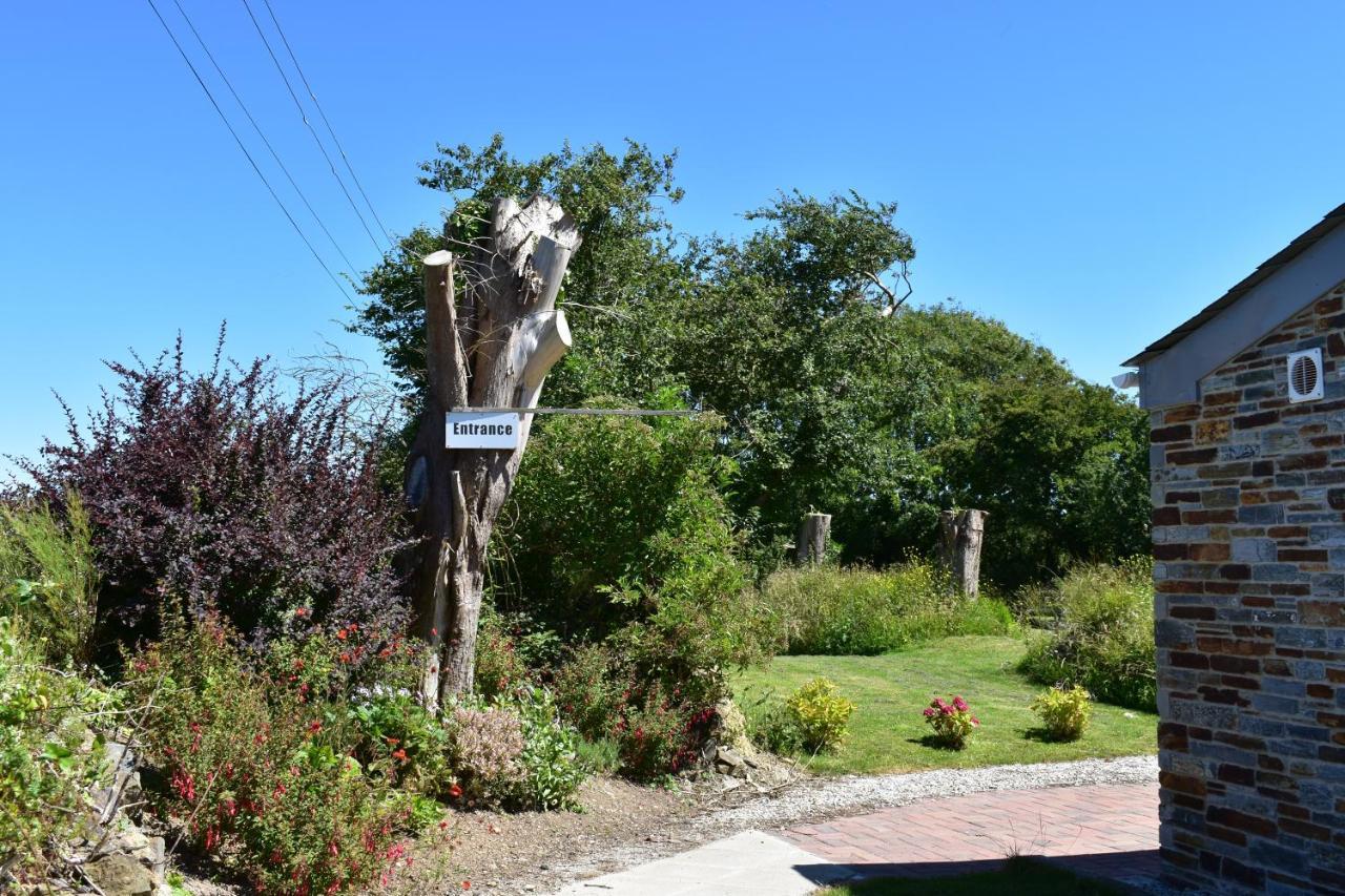 The Nook B&B Port Isaac Exterior foto